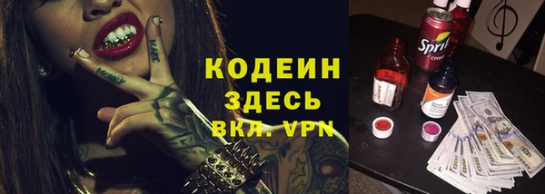 ПСИЛОЦИБИНОВЫЕ ГРИБЫ Ельня