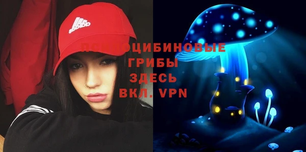 синтетический гашиш Белокуриха