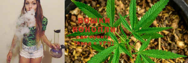стаф Белоозёрский