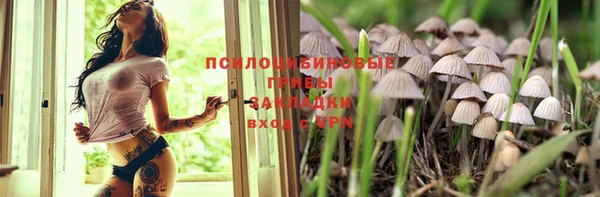 дмт Балабаново