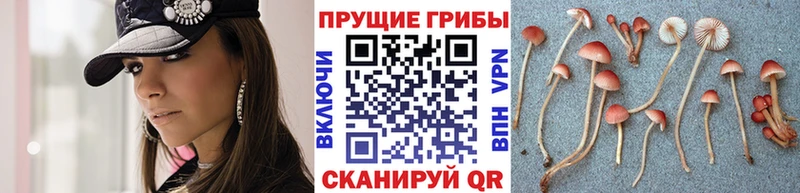 Галлюциногенные грибы MAGIC MUSHROOMS  Демидов 